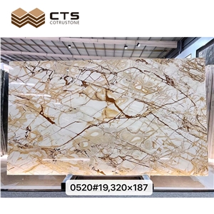 Roman Impression Quartzite Slabs White Background Gold Veins