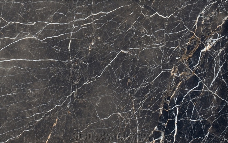 Noir Saint Laurent Marble