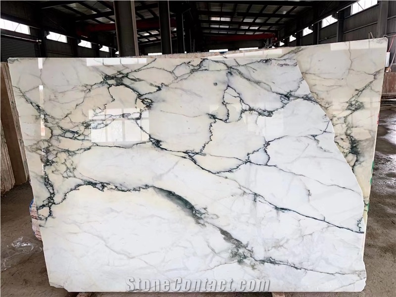 Paonazzeto Marble Pavonazetto Bianco White Marmi Slab