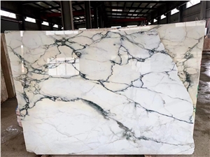 Paonazzeto Marble Pavonazetto Bianco White Marmi Slab Paonazzeto Marble Pavonazetto Bianco White Marmi Slab