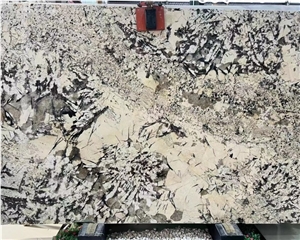 Natural White Bianco Antico Granite Stone Coffee Table