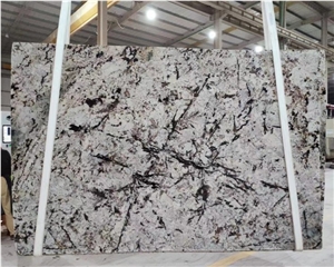 Natural White Bianco Antico Granite Stone Coffee Table