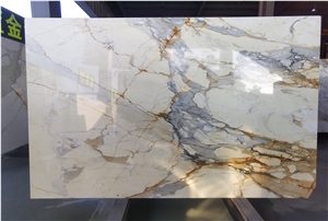 Italy Calacatta Macchia Vecchia Marble Slab