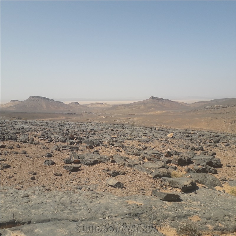 Sidi Ali Tafraout Errachidia Black Coral Marble Quarry