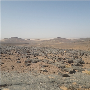 Sidi Ali Tafraout Errachidia Black Coral Marble Quarry