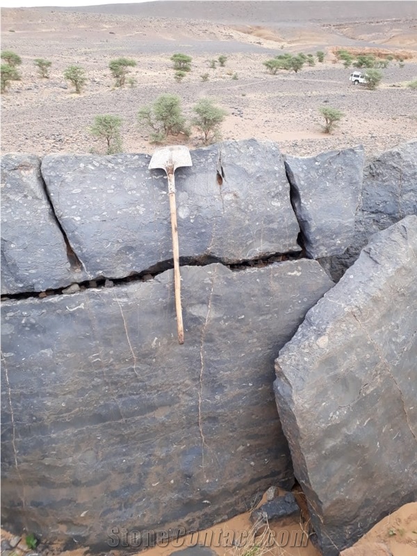 Sidi Ali Tafraout Errachidia Black Coral Marble Quarry