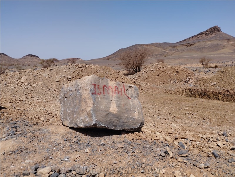 Sidi Ali Tafraout Errachidia Black Coral Marble Quarry