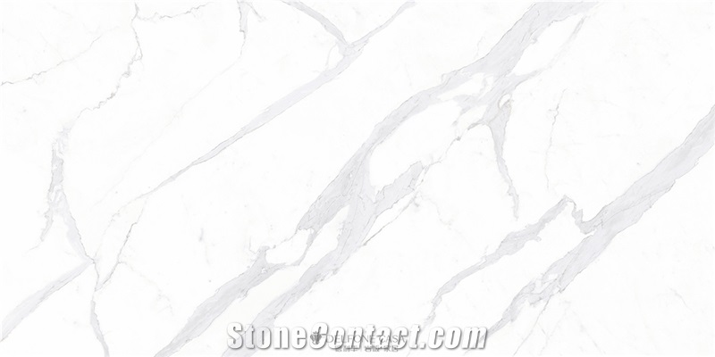 Calacatta Porcelain Slabs