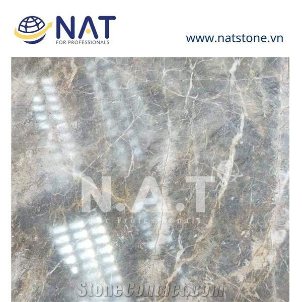 Vietnam Multicolor Marble Mystery Grey White Vein Slab/Tile