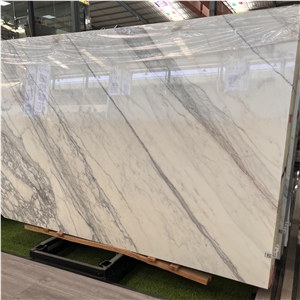 Polished Italian Bianco Statuario Venato Snow White Marble