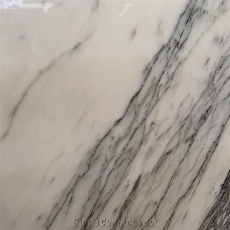 Polished Italian Bianco Statuario Venato Snow White Marble