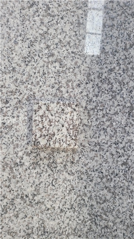 China Bianco Antico Granite Countertop Light Grey Granite G603