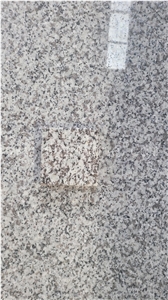 China Bianco Antico Granite Countertop Light Grey Granite G603