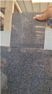 Dark Grey Granite Pandang Dark Granite Slab Wholesale