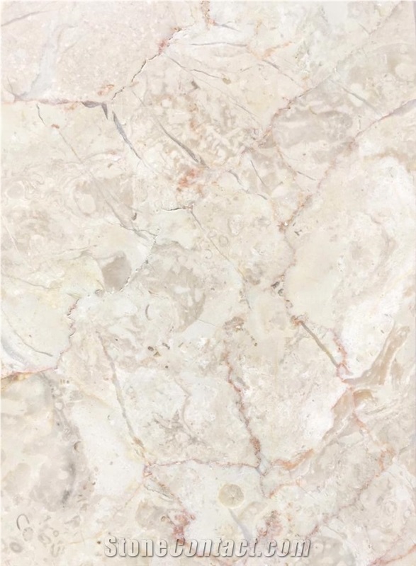 Turkish Marble Slabs, Marble Tiles