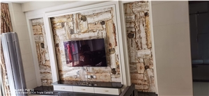 Petrified Wood Semiprecious Stone Wall Panels