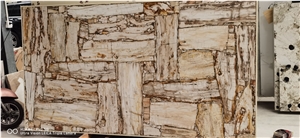 Petrified Wood Semiprecious Stone Wall Panels