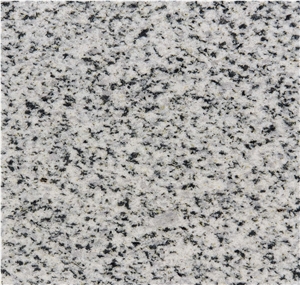 Bianco Halayeb Granite Slabs, Tiles