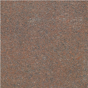Royal Red GY6808