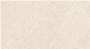 Western Australian Scallop RF2121A Western Australian Scallop RF2121A
