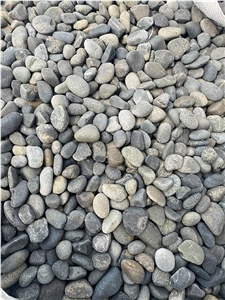 Mexican Beach Pebbles