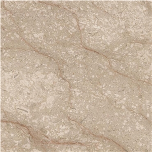 Dark Beige Marble Lyca From Turkey