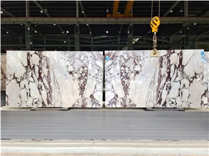 Calacatta Viola Marble Bookmatching Slabs & Wall Tiles