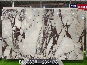 Calacatta Viola Marble Bookmatching Slabs & Wall Tiles