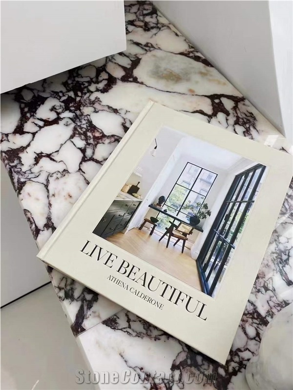 Calacatta Viola Marble Bookmatching Slabs & Wall Tiles