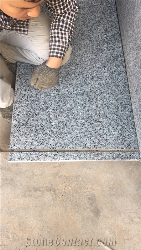 Hot Sale New G439 Granite, Slabs&Tiles