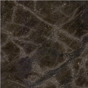 Fantastic Brown Marble