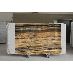 Asarya Marble Slab