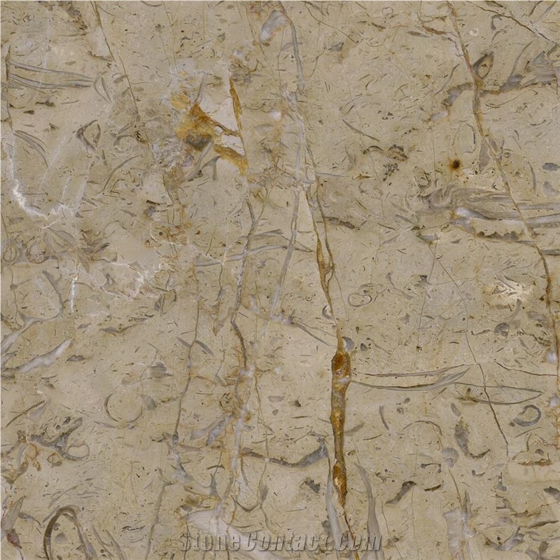 Tafel Limestone importance=