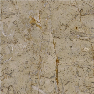 Tafel Limestone