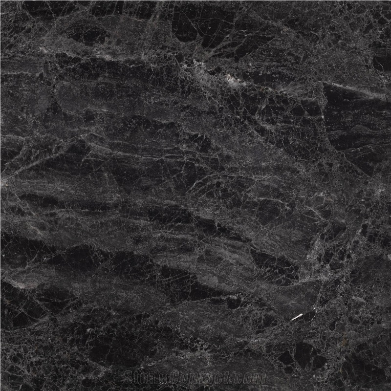 Caribbean Grey Marble importance=