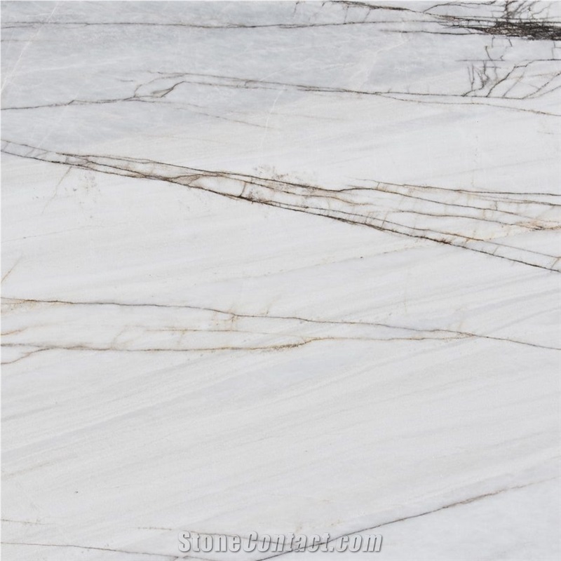 Dione Spider Marble importance=