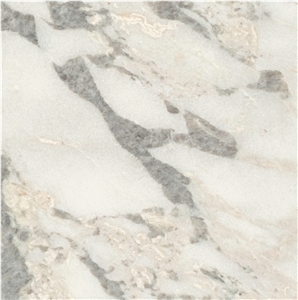 Arabescato Harmony Marble