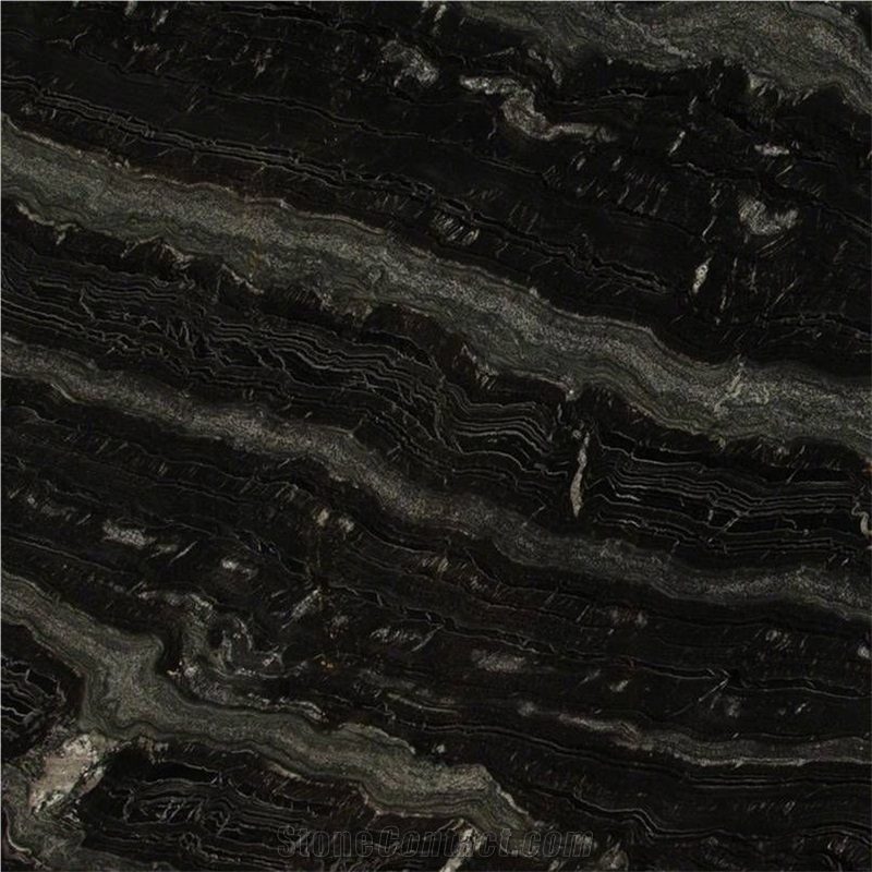 Arabescato Nero Quartzite Tile
