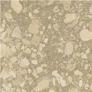 Ceppo Romano Marble Tile