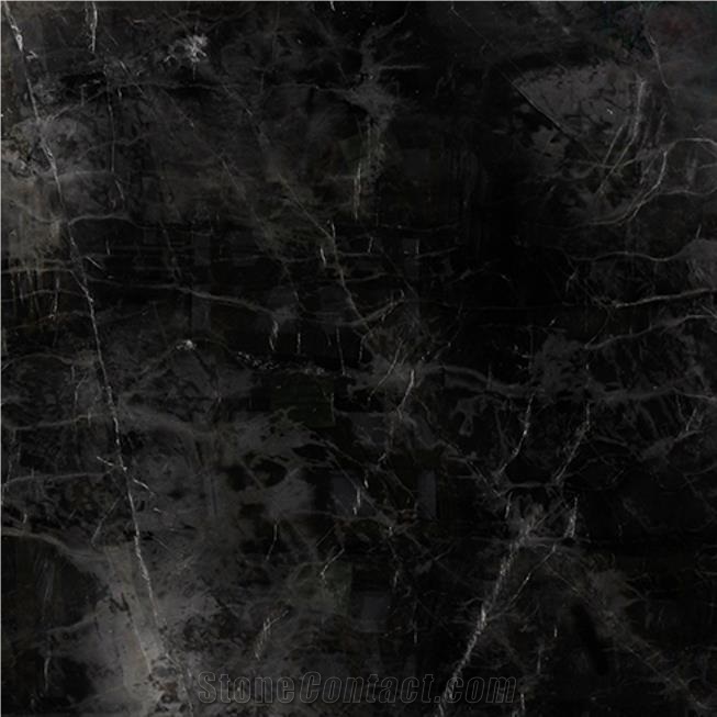 Black Amani Marble Tile