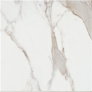 Calacatta Extreme Tile