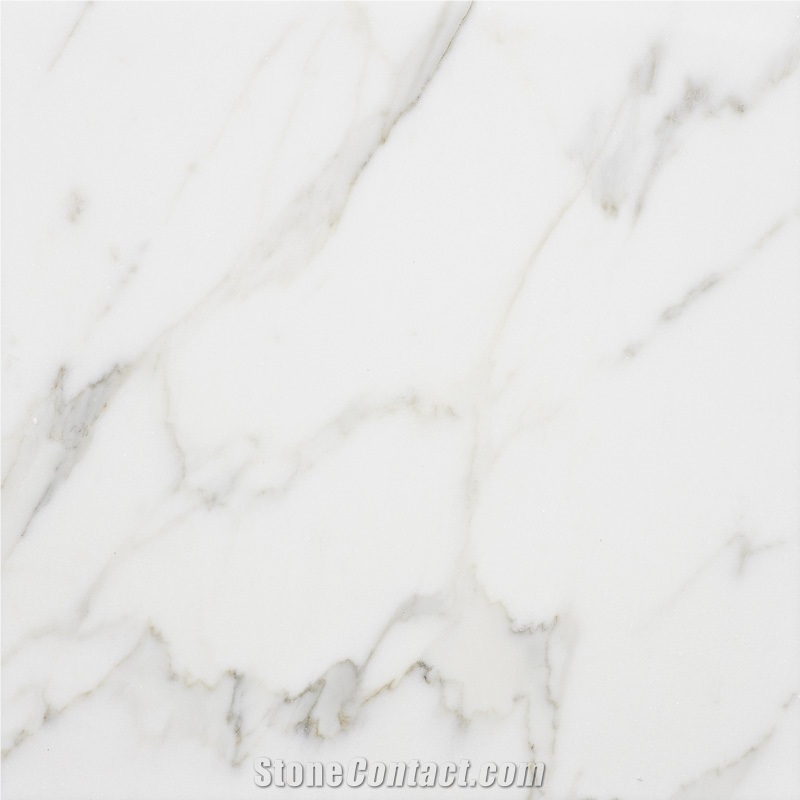 Calacatta Luccioso Tile
