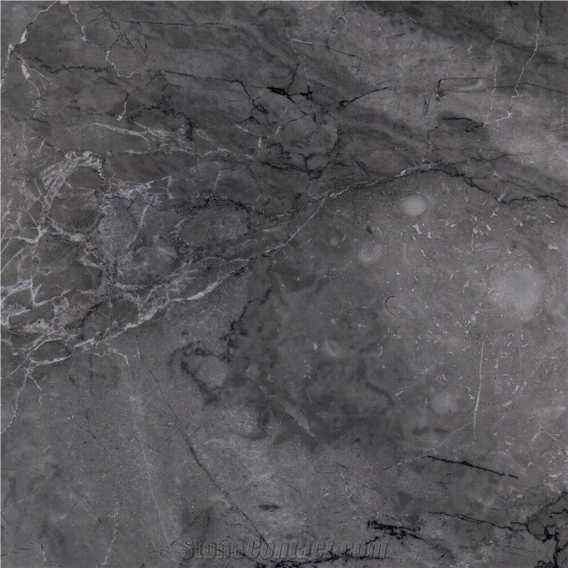 Grigio Antico Marble importance=