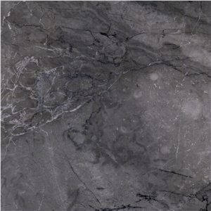 Grigio Antico Marble