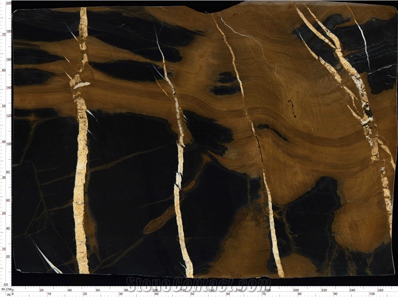 Black Jacob Marble Slab