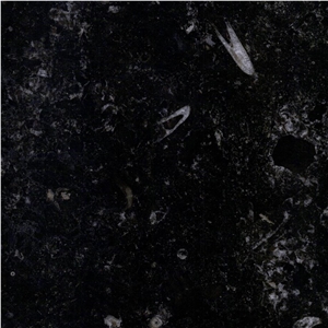 Prestige Noir Marble