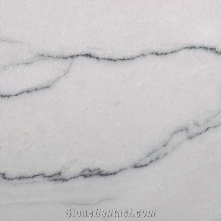 Calacatta Destin Quartzite Tile