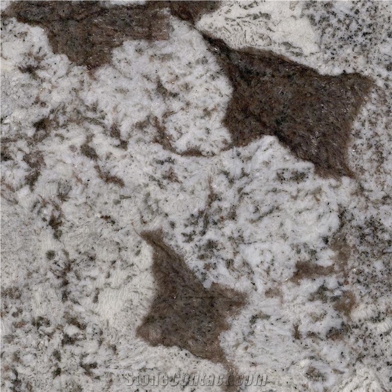 White Picasso Granite importance=