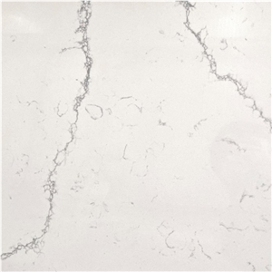 Calacatta Snow White Quartz