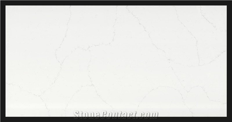 Calacatta Snow White Quartz Slab
